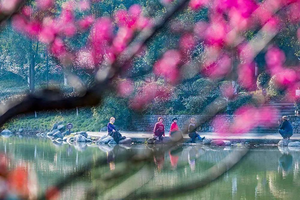 浙江挖掘能源大数据价值 助力企业年减排超14万吨标煤