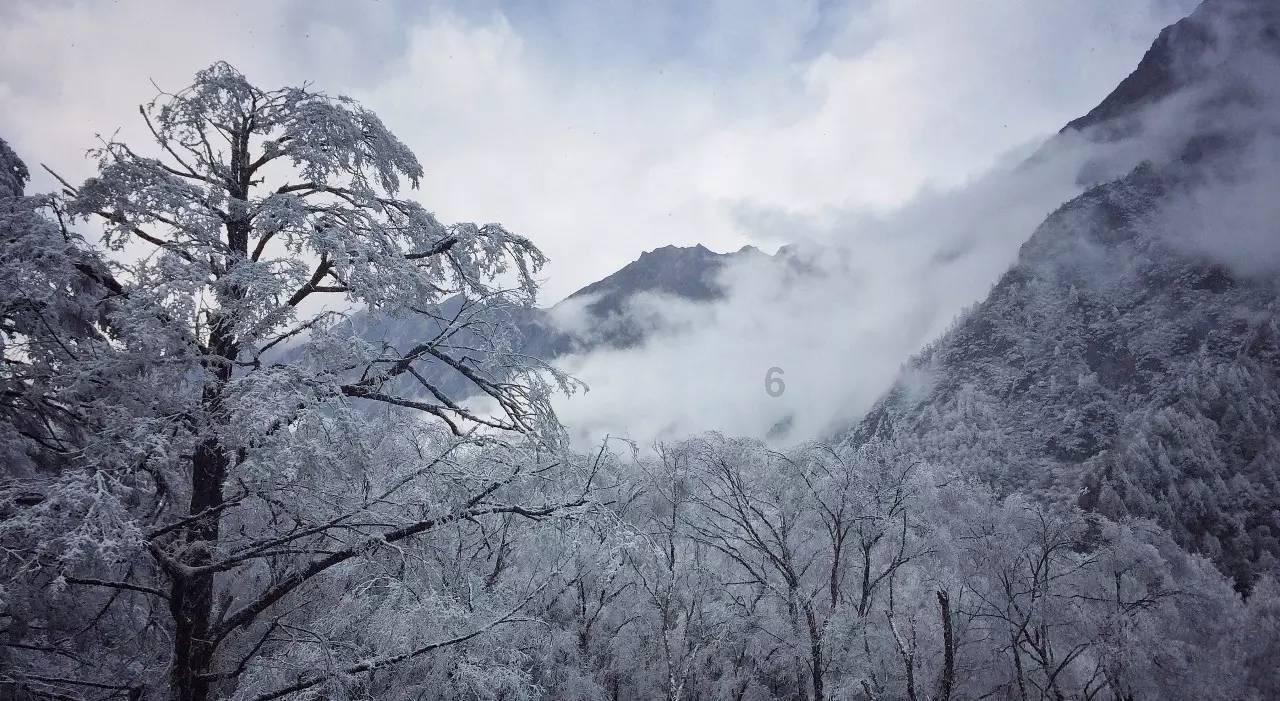稳步构建旅游业高质量发展保障体系