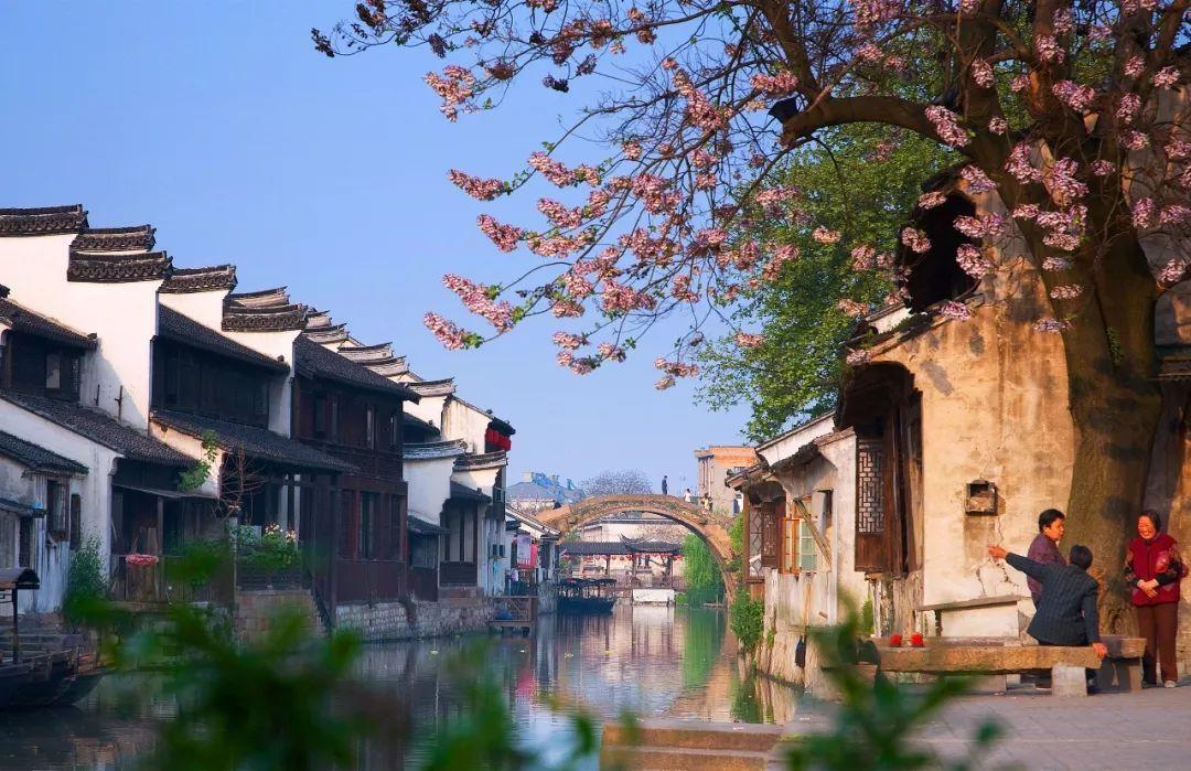 团区委领导班子召开学习贯彻习近平新时代中国特色社会主义思想主题教育专题民主生活会